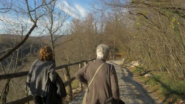 Donne Che Camminano Vicolo Parco Plitvice — Video Stock