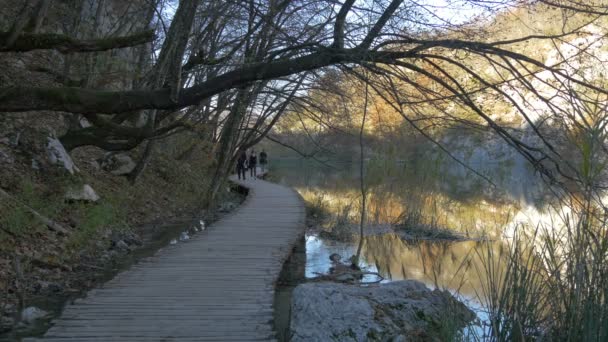 Pessoas Caminhando Calçadão Madeira Plitvice Park — Vídeo de Stock