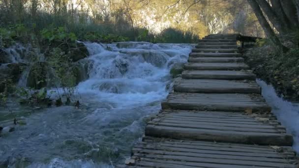 Escadaria Sobre Rio Plitvice Park — Vídeo de Stock
