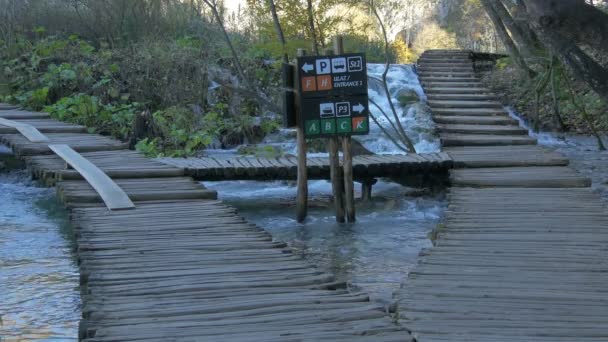 Bosborden Bij Plitvice Park — Stockvideo