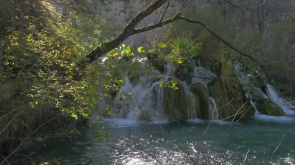 Pequeña Cascada Exuberante Bosque Parque Plitvice — Vídeos de Stock