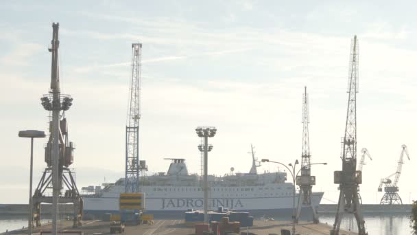 Grues Portuaires Navire Dans Port — Video