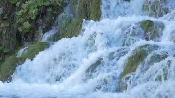 Gros Plan Une Cascade Parc Plitvice — Video