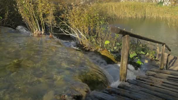 Rio Sinuoso Através Exuberante Plitvice Park — Vídeo de Stock