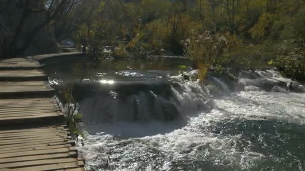 Houtpad Langs Een Rivier Bij Plitvice Park — Stockvideo