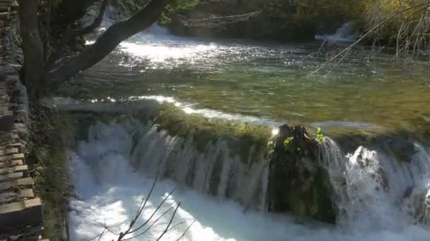 Waterval Rivier Bij Nationaal Park Plitvice — Stockvideo