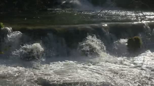 プリトヴィツェ公園の小さな滝のパンの右 — ストック動画