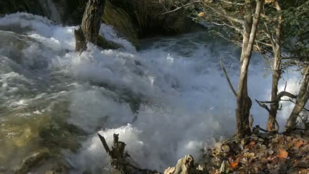 Schuimige Waterval Bij Plitvice Park — Stockvideo