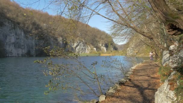 Plitvice Park Bir Göl Boyunca Yol — Stok video