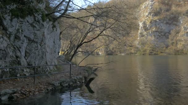 Rive Lac Dans Parc Plitvice — Video