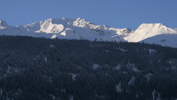 Montañas Bosque Abetos Ischgl — Vídeo de stock