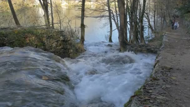 Stream Flowing Lake Plitvice National Park — Vídeos de Stock