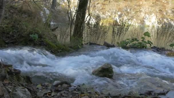 Espumoso Arroyo Que Fluye Lago Parque Plitvice — Vídeo de stock