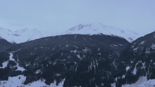 Panoramisch Uitzicht Dennenbos Ischgl — Stockvideo