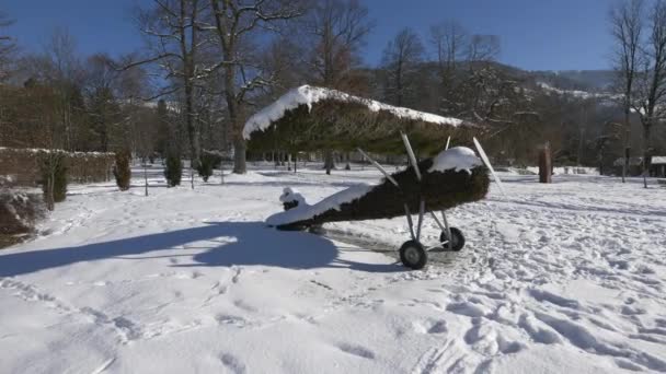 Αεροπλάνο Καλυμμένο Βρύα Χειμώνα — Αρχείο Βίντεο