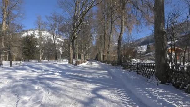 Vista Del Parque Durante Invierno — Vídeos de Stock