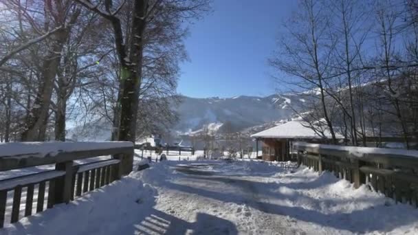 Австрія Взимку Вдень — стокове відео