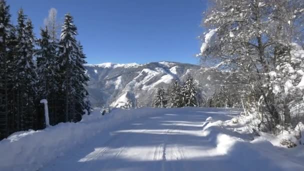 Camino Montaña Cubierto Nieve — Vídeo de stock