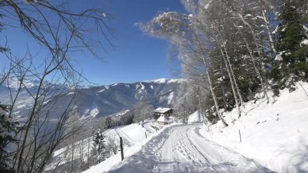 Bergpfad Winter — Stockvideo