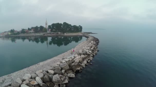 Luftaufnahme Eines Felsigen Pier — Stockvideo