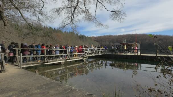 Gente Abordando Barco Eléctrico Parque Plitvice — Vídeo de stock