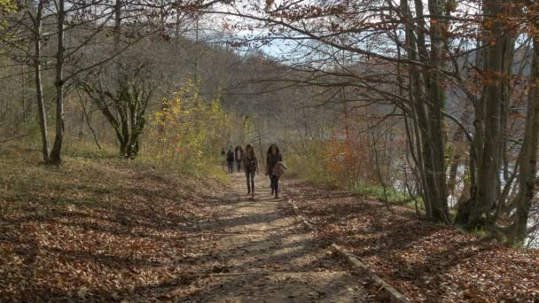 Wandelen Een Bospad Plitvice Park — Stockvideo