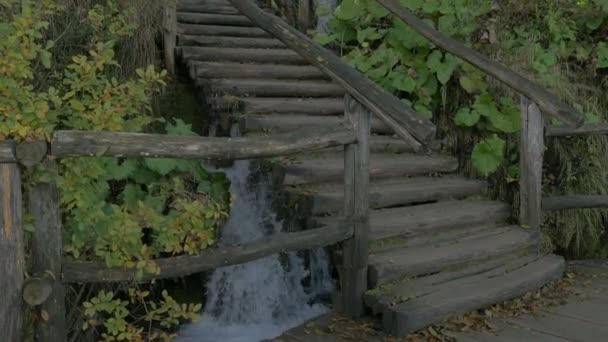 Escalera Madera Parque Nacional Plitvice — Vídeo de stock