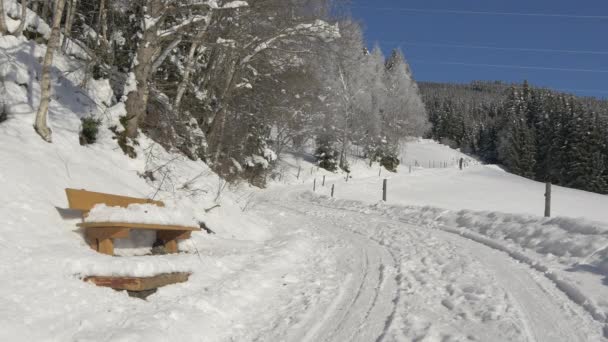Gebirgsweg Waldnähe Mit Schnee Bedeckt — Stockvideo