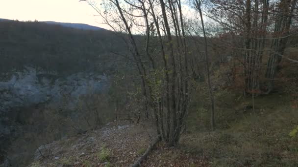 Alberi Senza Foglie Nel Parco Nazionale Plitvice — Video Stock