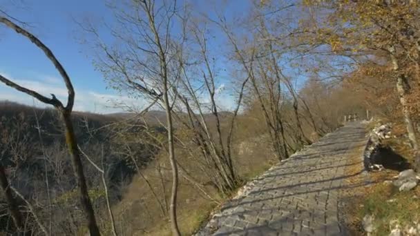Plitvice公园的小巷和无叶树 — 图库视频影像