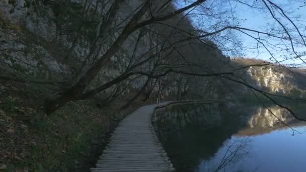 Wooden Path Lake Plitvice National Park — Vídeo de stock