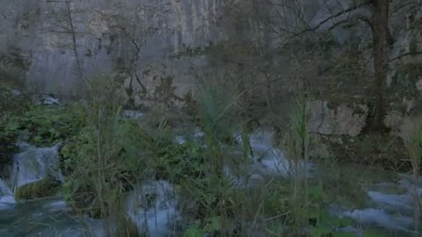 Растительность Водопад Плитвицком Парке — стоковое видео