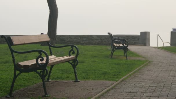 Two Benches Park — Stock Video