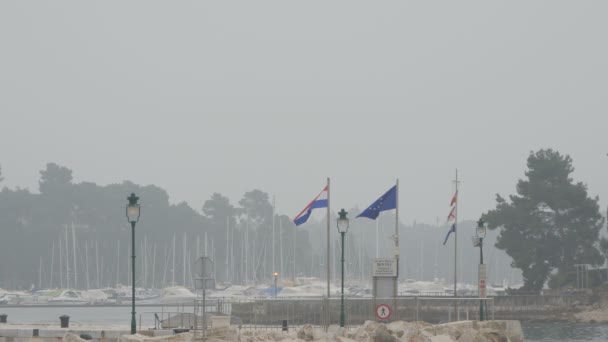 Banderas Ondeando Puerto — Vídeos de Stock