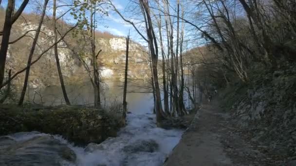 Водопад Впадает Озеро Плитвицком Парке — стоковое видео