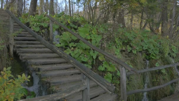 Лестница Лесной Водопад Плитвицком Парке — стоковое видео