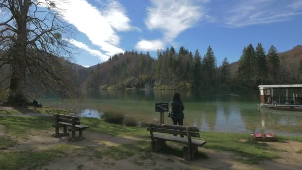 Debout Sur Rivage Parc National Plitvice — Video