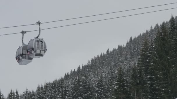 Cable Cars Riding Fir Tree Forest — Stockvideo