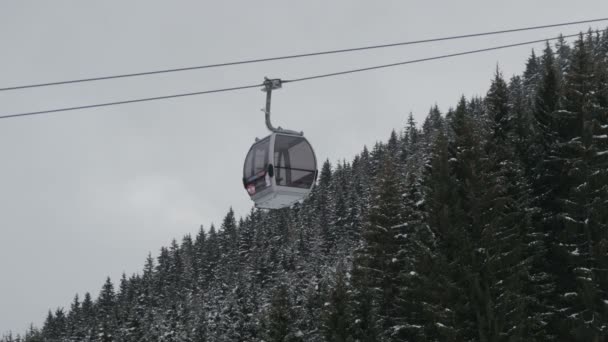 Cable Cars Riding Fir Tree Forest — Stockvideo