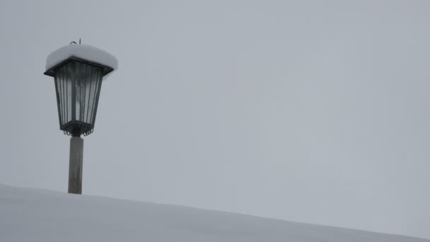 Close View Lamp Post — Stock Video