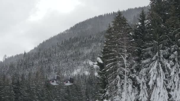 Teleféricos Montando Sobre Bosque Abetos — Vídeos de Stock