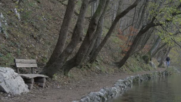 Bench Aan Kust Nationaal Park Plitvice — Stockvideo