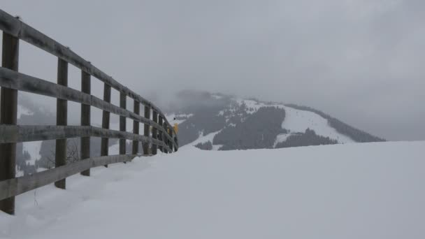 겨울에 보이는 과수목 울타리 — 비디오