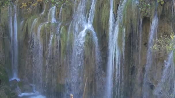 Wodospady Creek Parku Narodowym Plitvice — Wideo stockowe