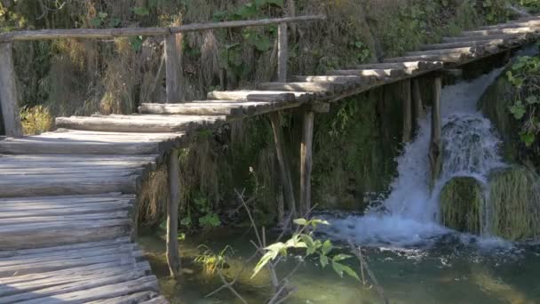木桥和一个小瀑布 — 图库视频影像