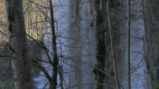 Cascada Detrás Los Árboles Parque Nacional Plitvice — Vídeos de Stock