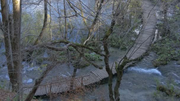 Rio Caminho Madeira Parque Nacional Plitvice — Vídeo de Stock