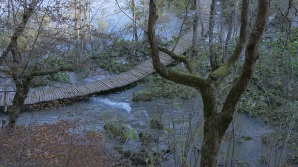 Houten Pad Rivier Nationaal Park Plitvice — Stockvideo