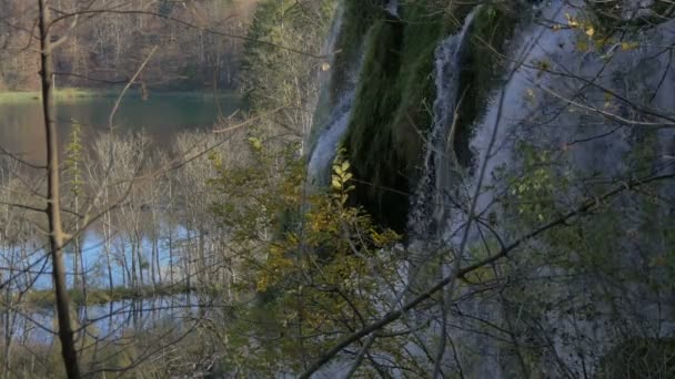 Waterval Gezien Achter Filialen Nationaal Park Plitvice — Stockvideo