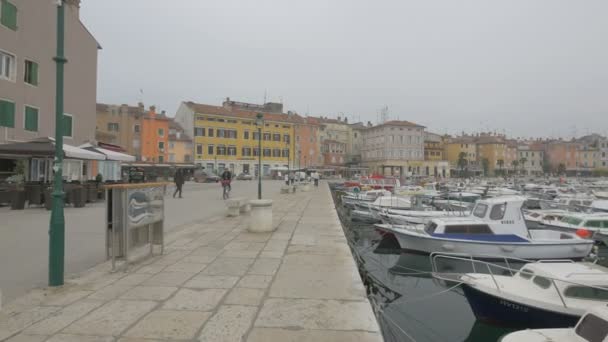 Hamnen Rovinj — Stockvideo